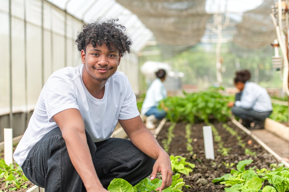 Group of young people examining lettuce plants in a greenhouse, learning about sustainable farming and plant health